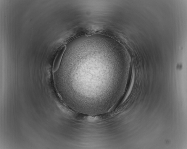 X0000090980570200708161858
