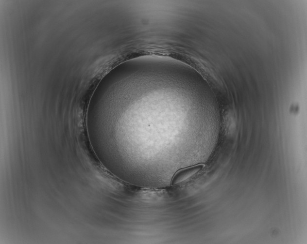 X0000090980571200708161859