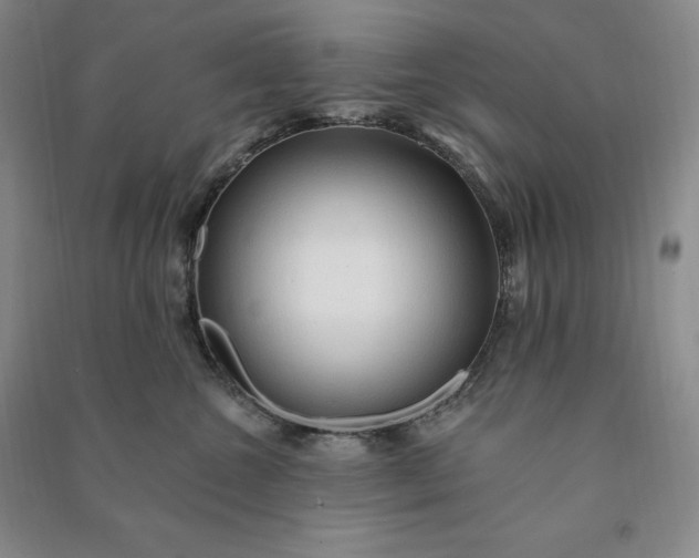 X0000090980572200708161859