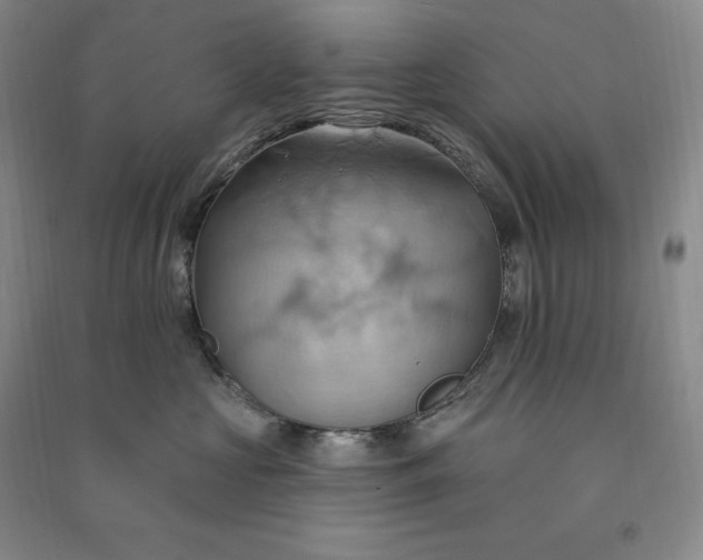 X0000090980573200708161859