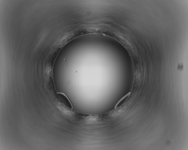 X0000090980574200708161859