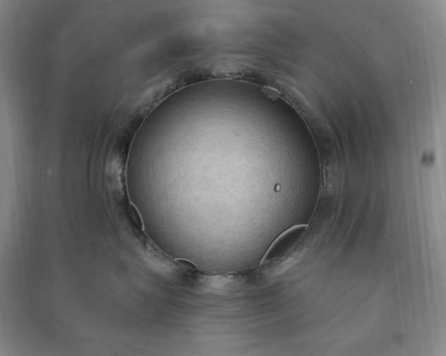 X0000090980575200708161859