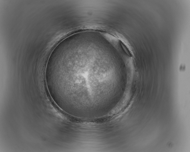 X0000090980577200708161858