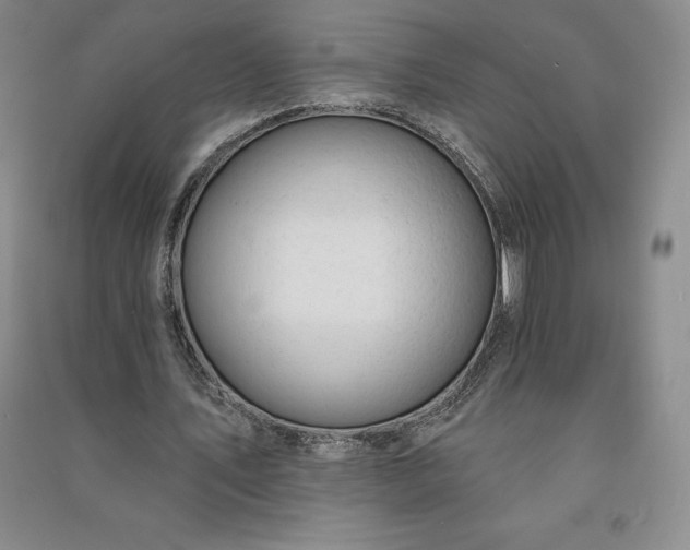 X0000090980579200708161858