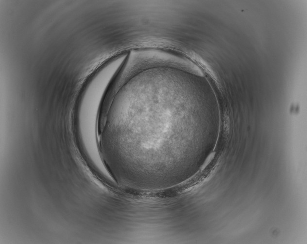 X0000090980581200708161858