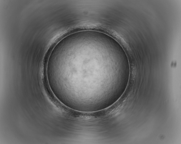 X0000090980582200708161858