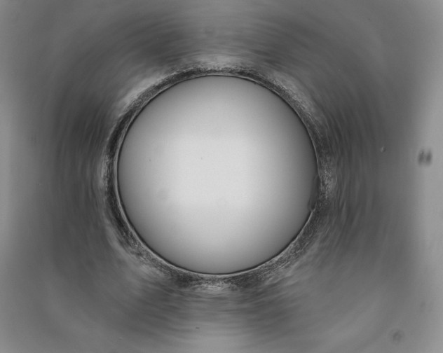 X0000090980583200708161858