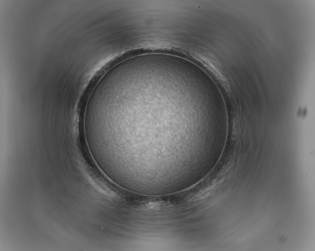 X0000090980584200708161858
