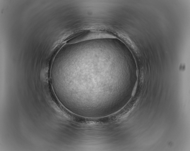X0000090980585200708161858