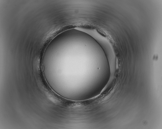 X0000090980589200708161858