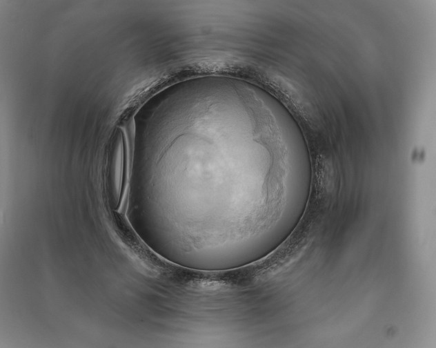 X0000090980590200708161858