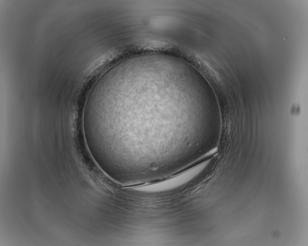 X0000090980591200708161858