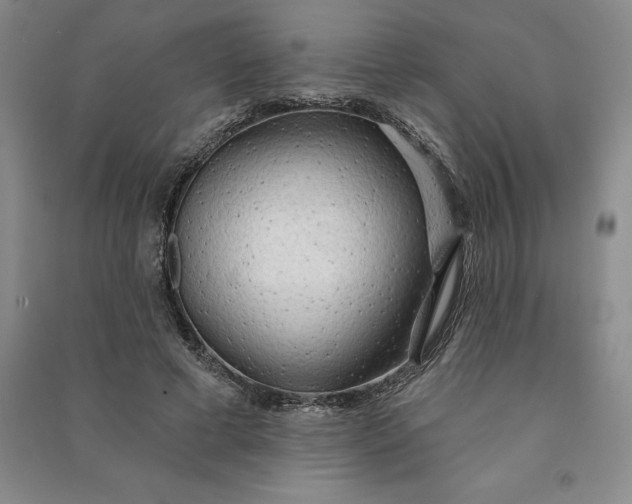 X0000090980593200708161858