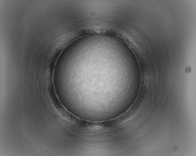X0000090980594200708161858