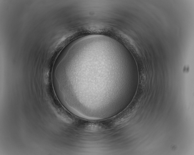 X0000090980596200708161858
