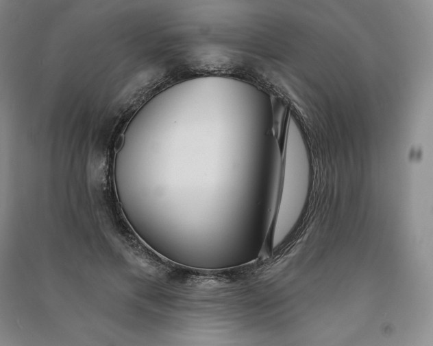 X0000090980597200708161858