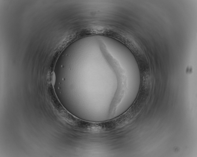 X0000090980598200708161858