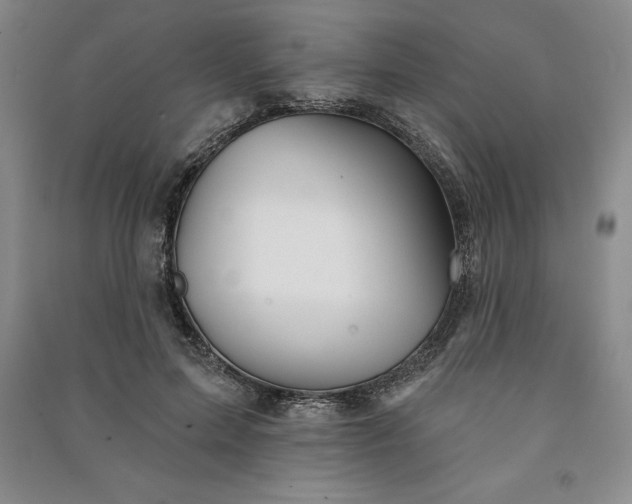 X0000090980599200708161858