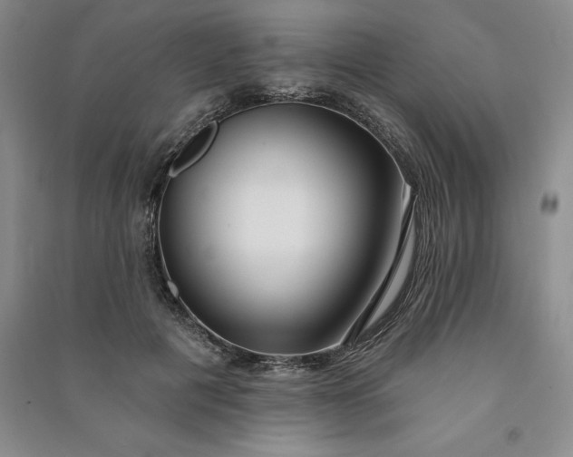X0000090980601200708161858