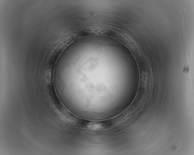 X0000090980602200708161858
