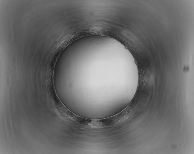 X0000090980603200708161858