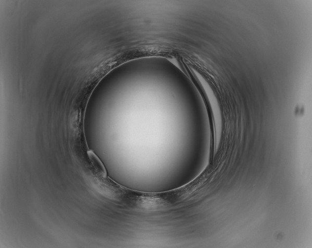 X0000090980605200708161858