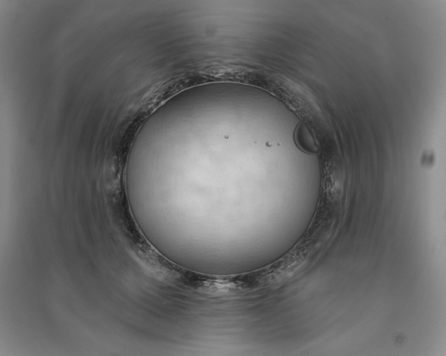 X0000090980607200708161858