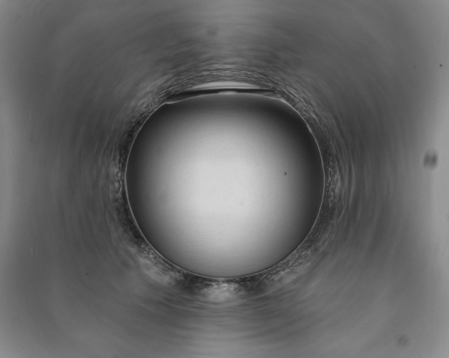 X0000090980609200708161858
