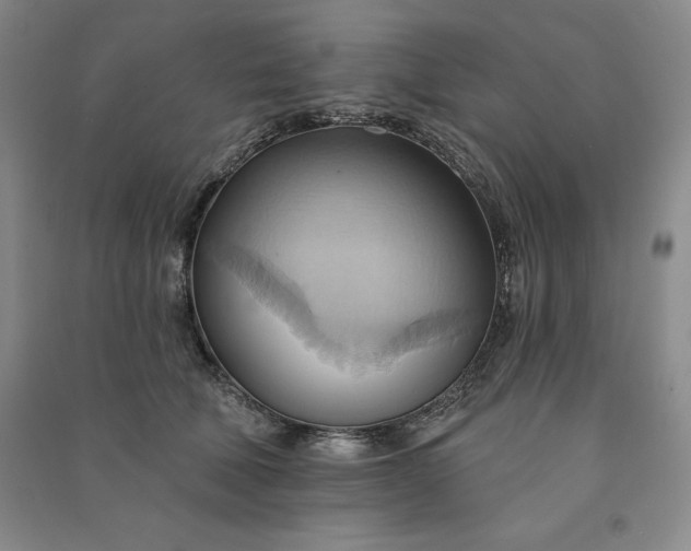 X0000090980610200708161858