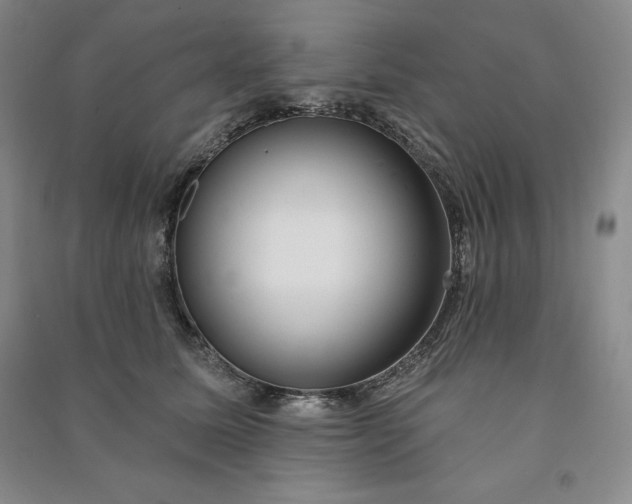 X0000090980611200708161858