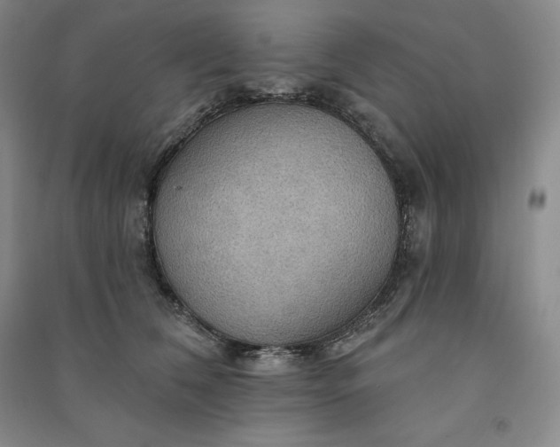 X0000090980612200708161858