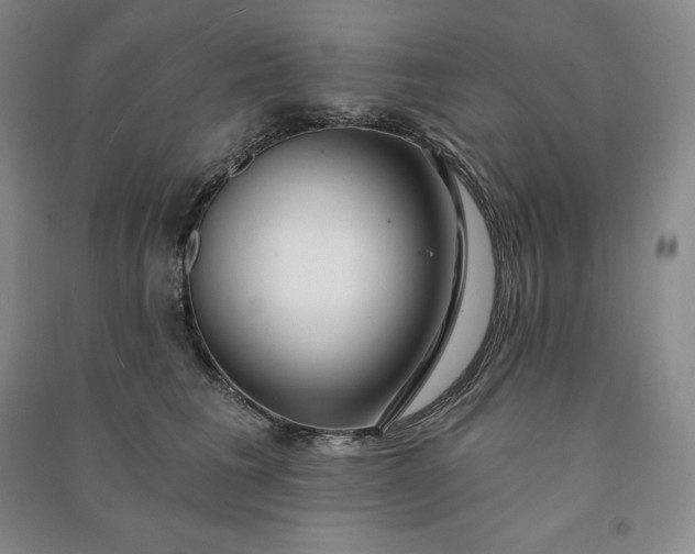 X0000090980613200708161858