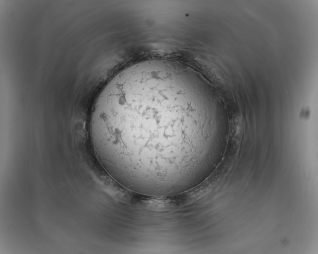 X0000090980615200708161857