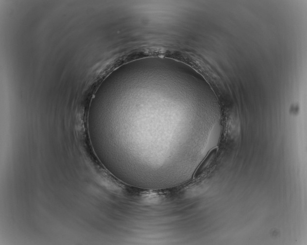 X0000090980616200708161857