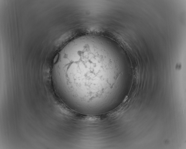 X0000090980619200708161857