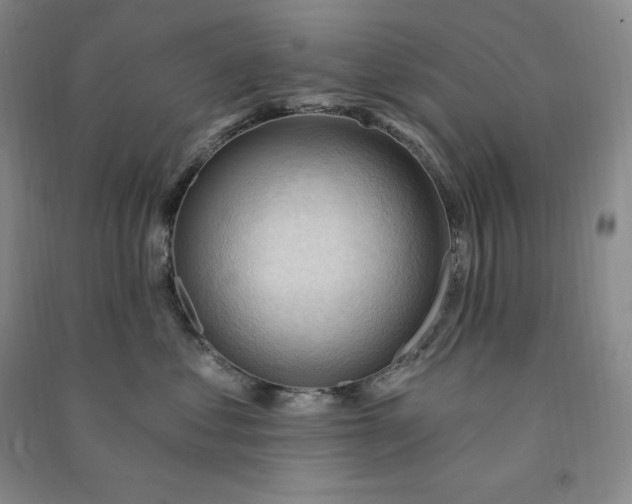 X0000090980621200708161857
