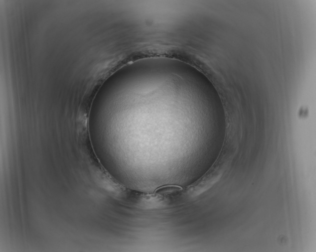 X0000090980624200708161857