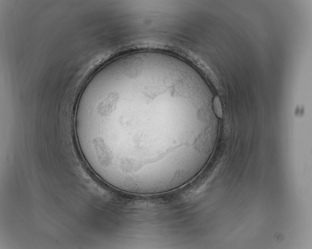 X0000090980625200708161857
