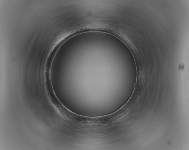 X0000090980626200708161857