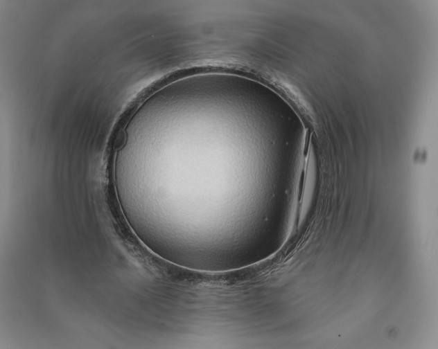 X0000090980628200708161857