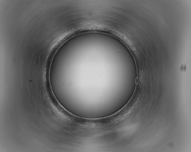 X0000090980629200708161857