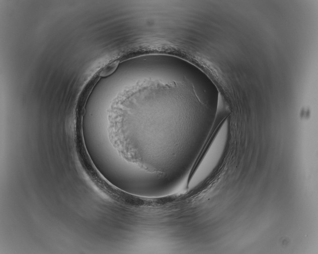 X0000090980630200708161857