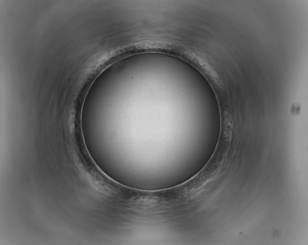 X0000090980631200708161857