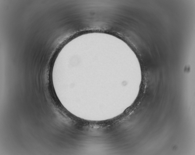 X0000090980632200708161857