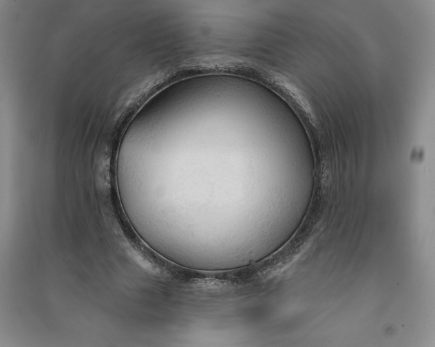 X0000090980633200708161857