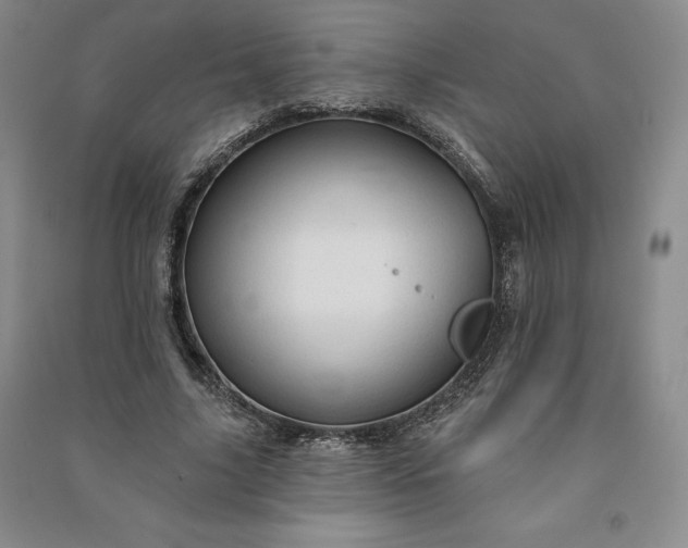 X0000090980635200708161857