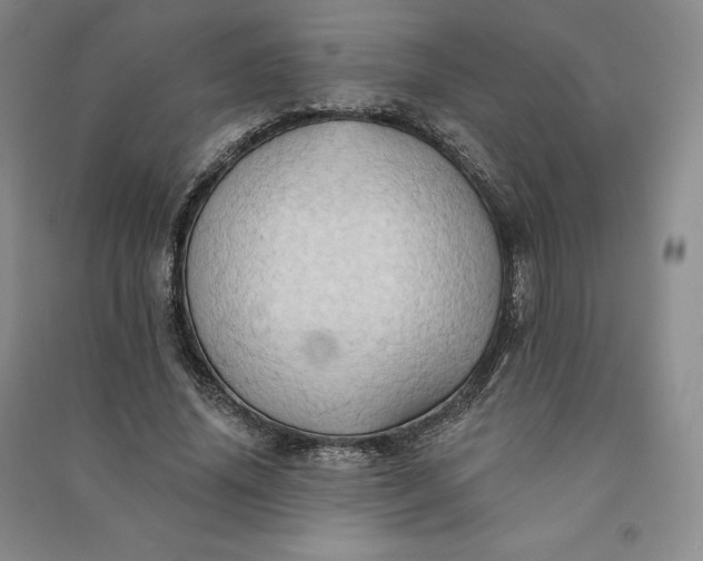 X0000090980636200708161857