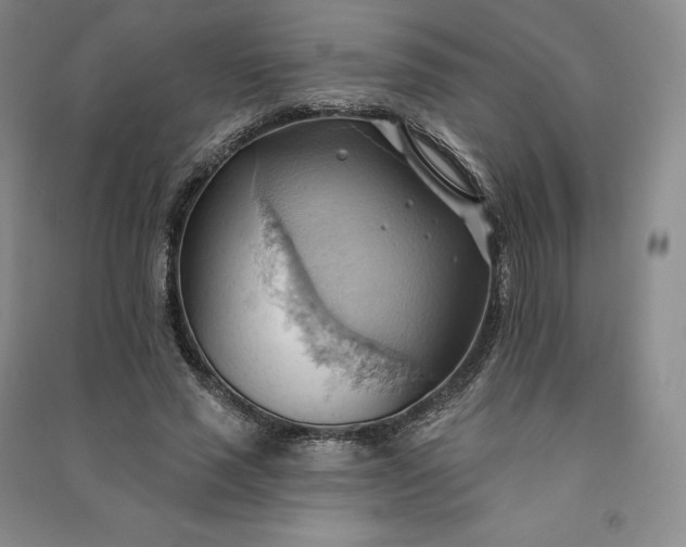 X0000090980637200708161857