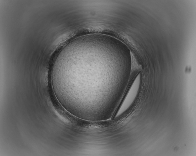 X0000090980638200708161857