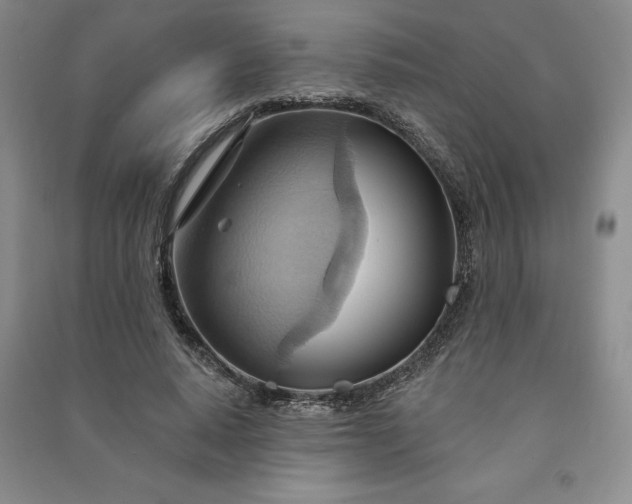 X0000090980640200708161857